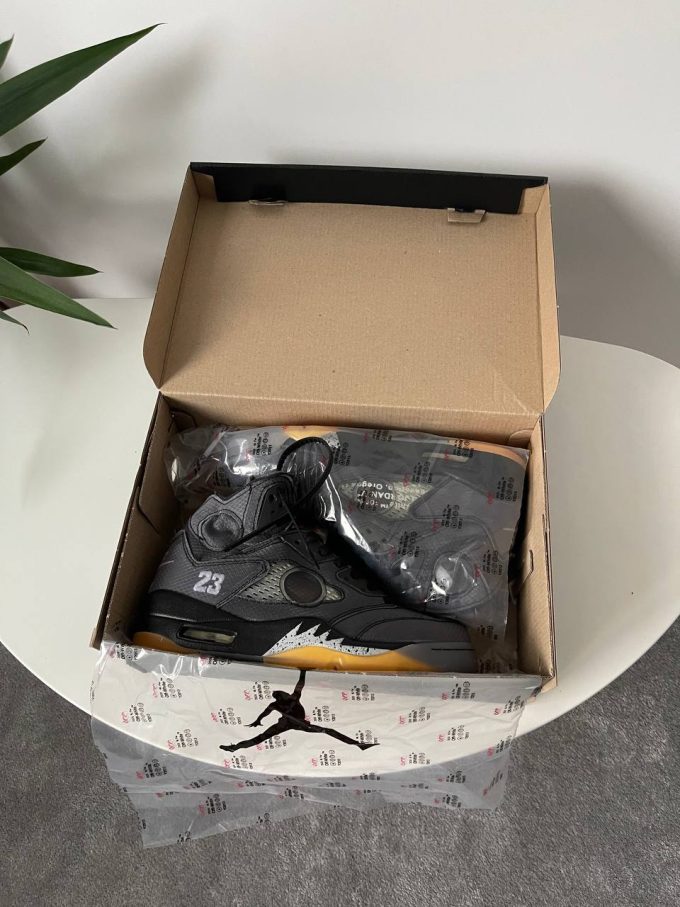 Jordan 5 Retro Off-White Muslin CT8480-001 - Зображення 12
