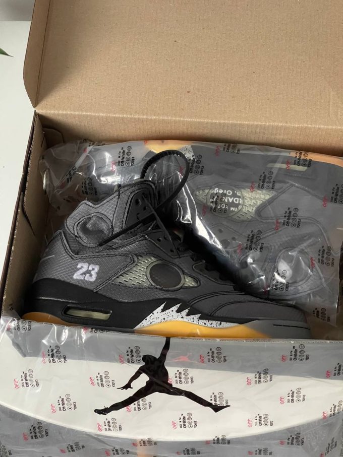 Jordan 5 Retro Off-White Muslin CT8480-001 - Зображення 11