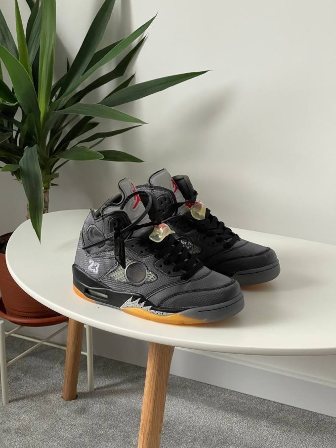 Jordan 5 Retro Off-White Muslin CT8480-001 - Зображення 9