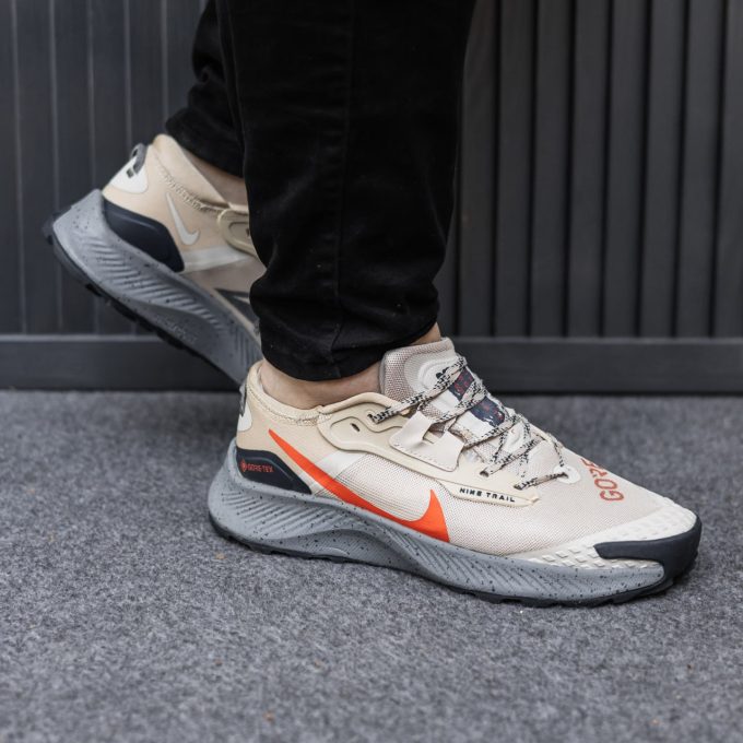 Nike Zoom Pegasus Trail 3 Gore-Tex
