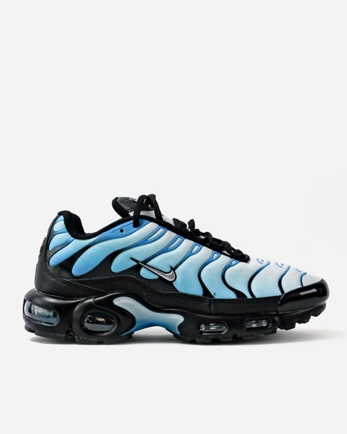 Nike Air Max TN Plus Gradient Blue