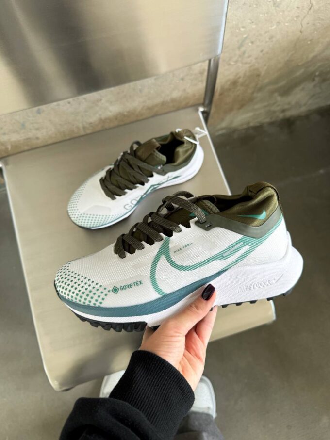 Nike Pegasus 4 Gore-Tex