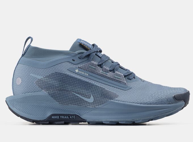 Nike Pegasus Trail 5 Gore-Tex Blue