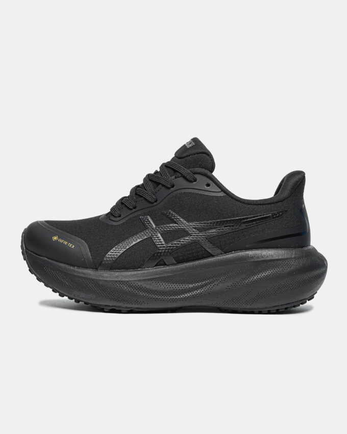 Asics Gel Kayano 30