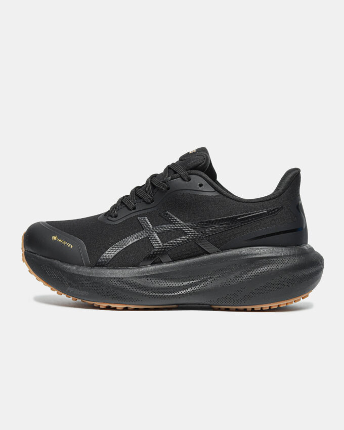 Asics Gel-Kayano 30 Gore-Tex Black