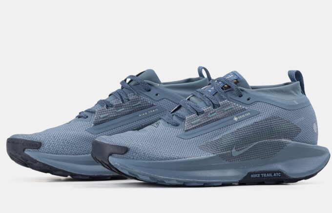 Nike Pegasus Trail 5 Gore-Tex Blue - Зображення 3