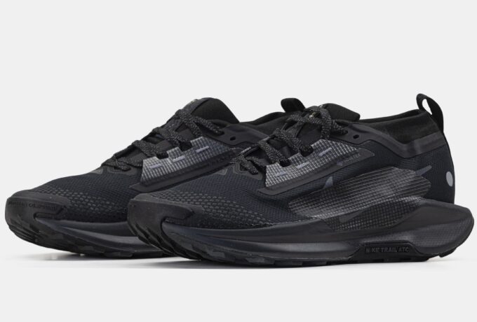 Nike Pegasus Trail 5 GTX Gore-Tex Black - Зображення 3