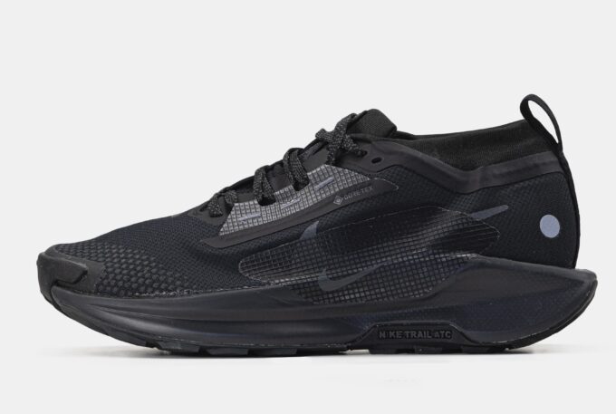 Nike Pegasus Trail 5 GTX Gore-Tex Black