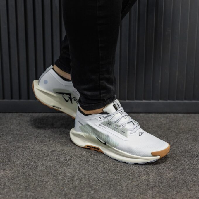 Nike Pegasus Trail 5 Gore-Tex