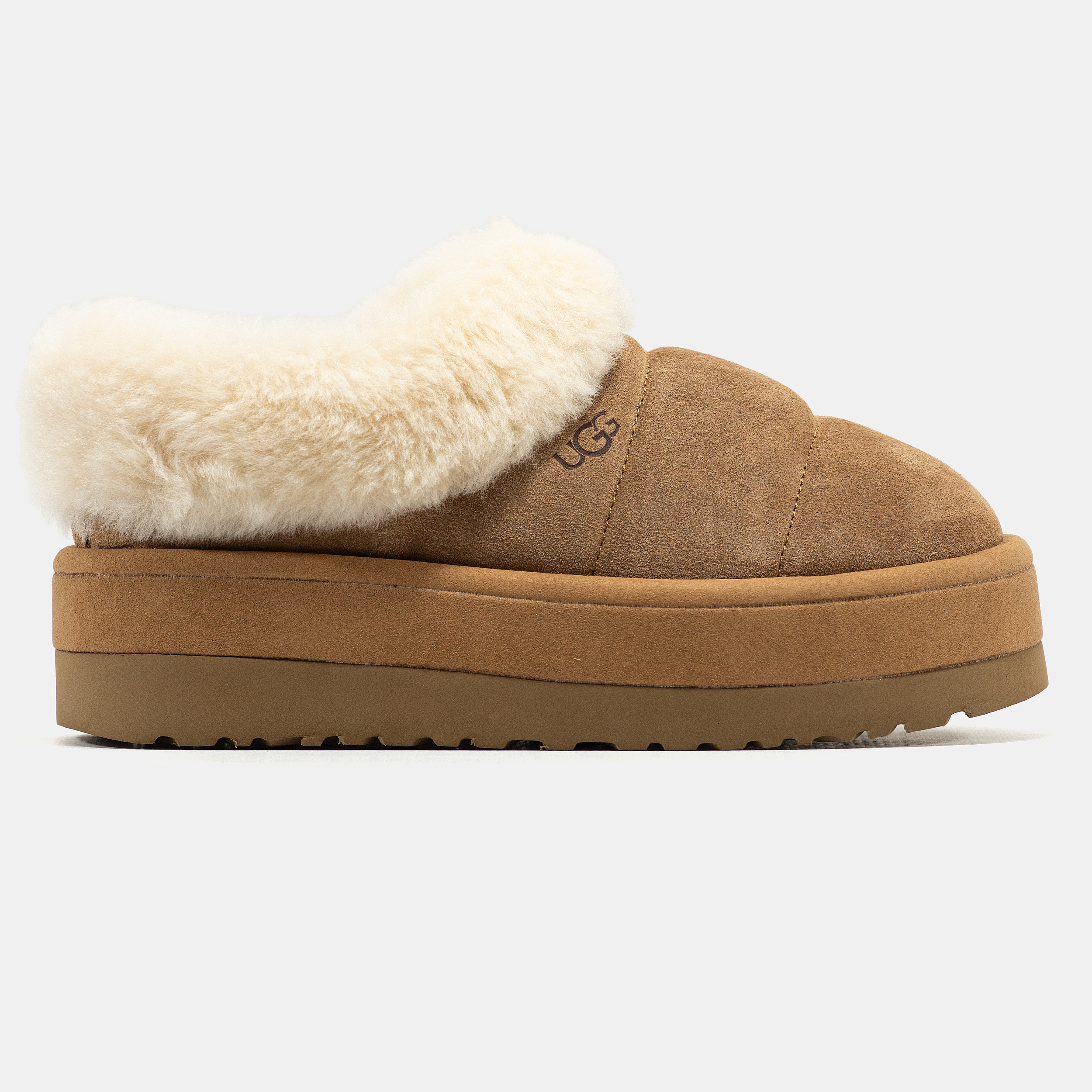 Ugg Tazzlita